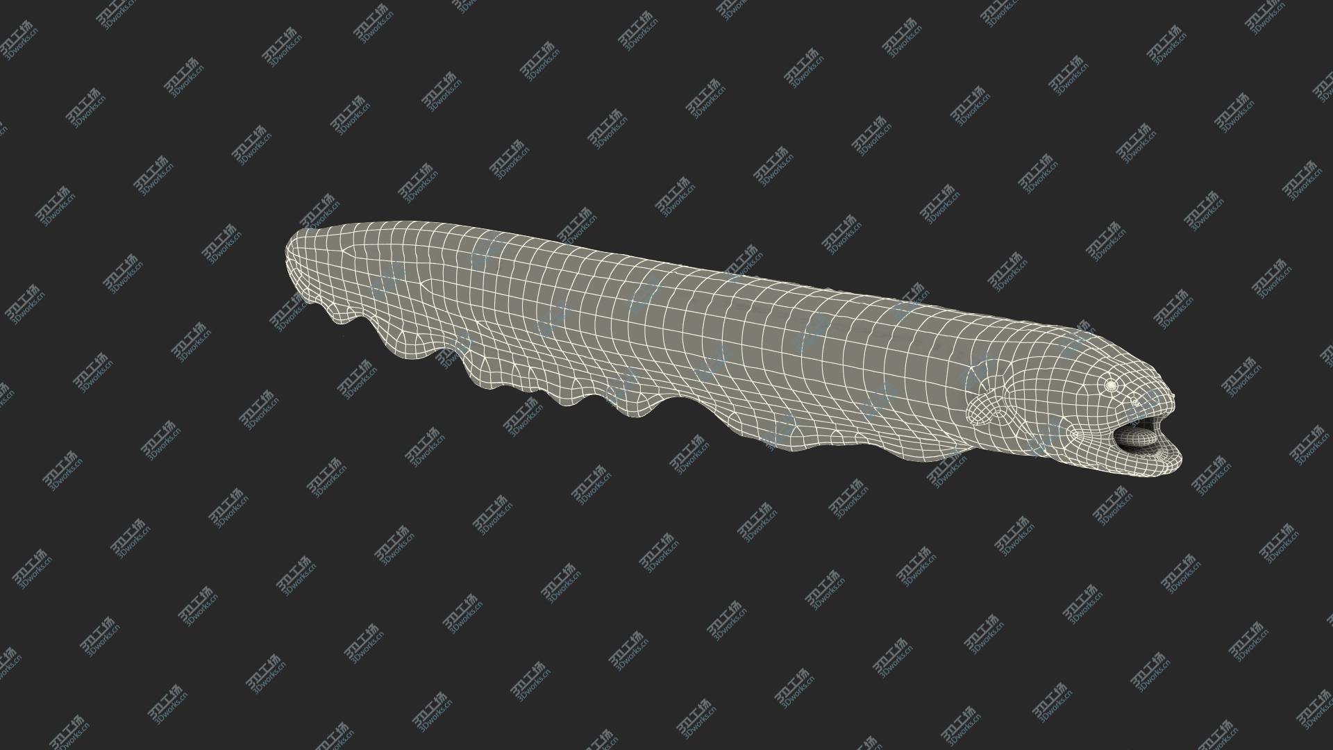 images/goods_img/2021040164/3D Electric Eel Rigged/5.jpg